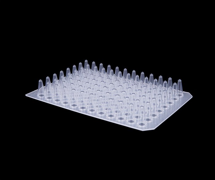 0.1ml 96孔 PCR板（透明，無裙邊）